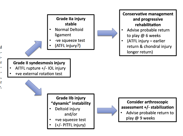 Ankle algorithm
